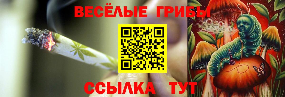 Псилоцибиновые грибы мухоморы  Вход с VPN  Галлюциногенные грибы Magic Shrooms  Хасавюрт 